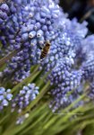 IMG_1113