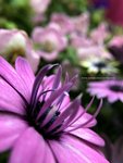 IMG_1124