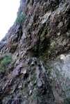 滴水岩, 真係得幾滴水