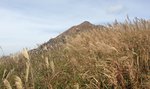 IMG_5376