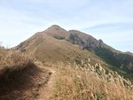 IMG_5385