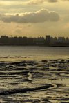 DSC_0009
