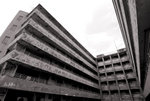 DSC_0031