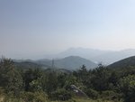 IMG_7155