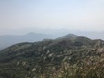 IMG_7176