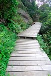 沿途都是這些木棧道