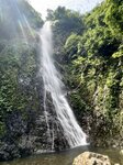 IMG_4381