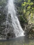 IMG_4391
