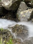 IMG_4395
