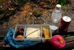 Our lunch