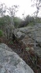 P1010603