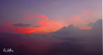 DSC_1746