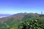一小時後, 到第一個峰了. 見鹿巢山被早幾日山火洗禮, 心痛