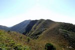 石芽山主峰 (540m)