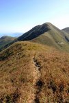 再上水牛山