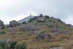 P1040241