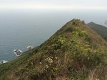 IMG_0316