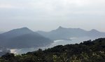 IMG_0906