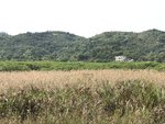 IMG_2179