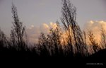 DSC_0132