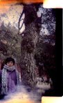 trip01