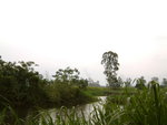 DSCF0017