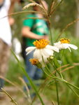 DSCF0022