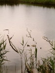 DSCF0090