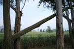 IMG_0093