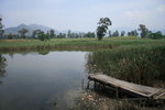 IMG_0096