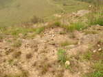 DSC05076