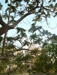DSCF0034