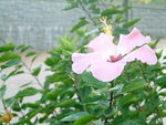 DSCF0035