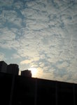 DSC02195