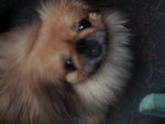 DSC02358