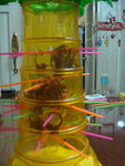 DSC02424