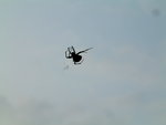 DSCF0254