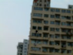 DSCF0255