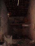 DSC03011