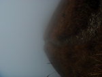 DSC03058