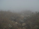 DSC03066