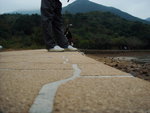 DSC03105