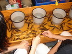 0253-DSC02143