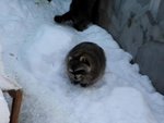 DSC00108