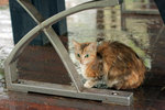 IMG_3745b01x