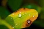 IMG_3117b01x