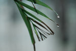 IMG_3578b01x