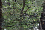 IMG_3689b0103