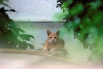 IMG_4114b01x