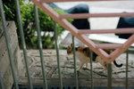 IMG_4137b01x